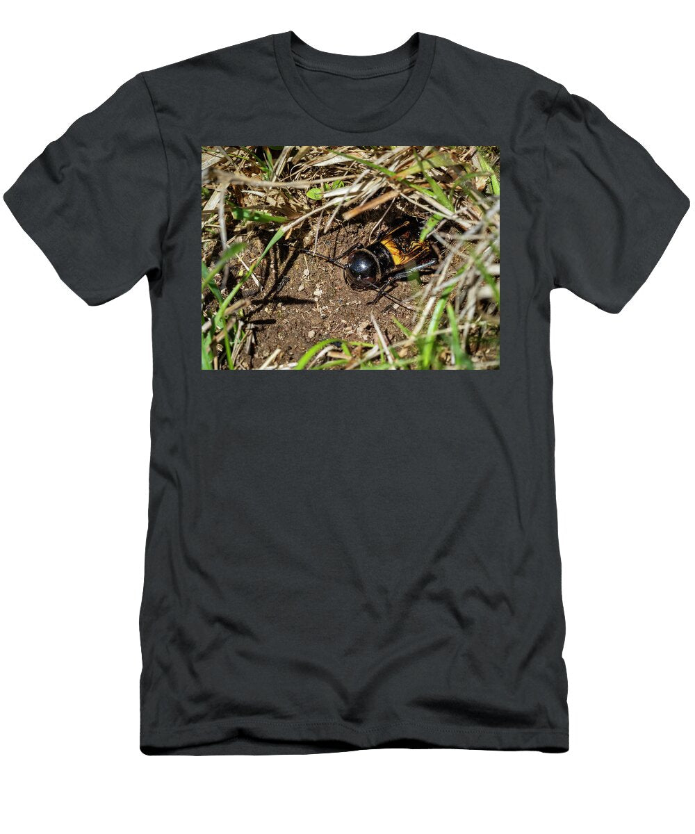 1 European Field Cricket Emerging From Burrow Bavaria Konrad Wothe Natureplcom T-Shirt
