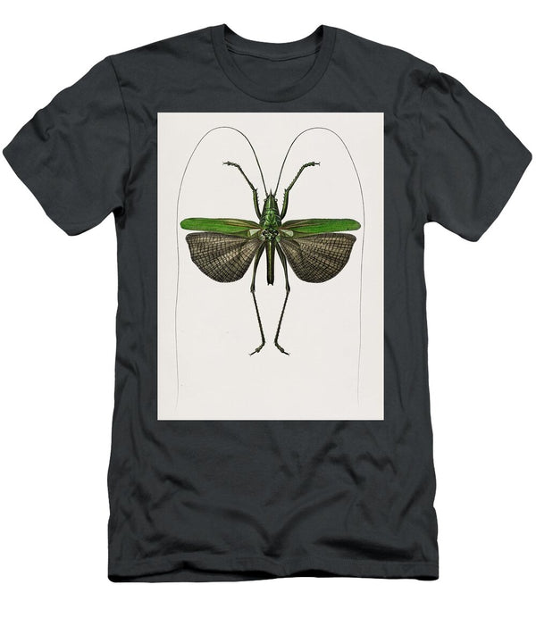 1 Grasshopper of Six Points Locusta Sexpunctata Illustrated By Charles Dessalines D Orbigny 1806 1 Celestial Images T-Shirt
