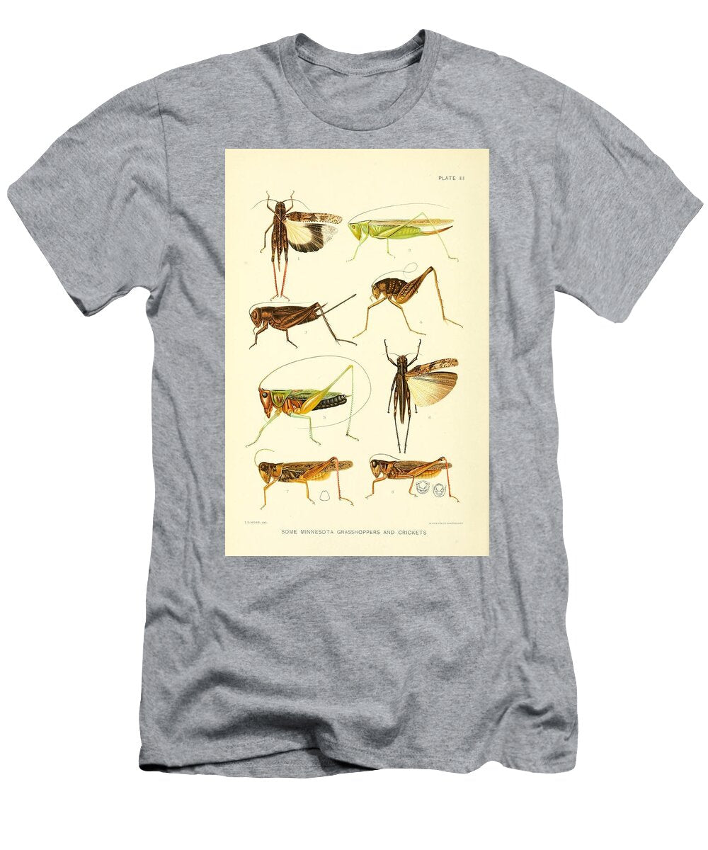 1 Grasshoppers Crickets Beautiful Nature Prints T-Shirt