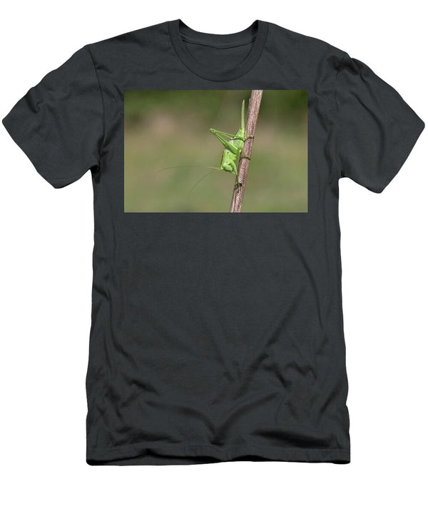 1 Great Green Bush Cricket on Stem Suffolk England UK Robin Chittenden Natureplcom T-Shirt
