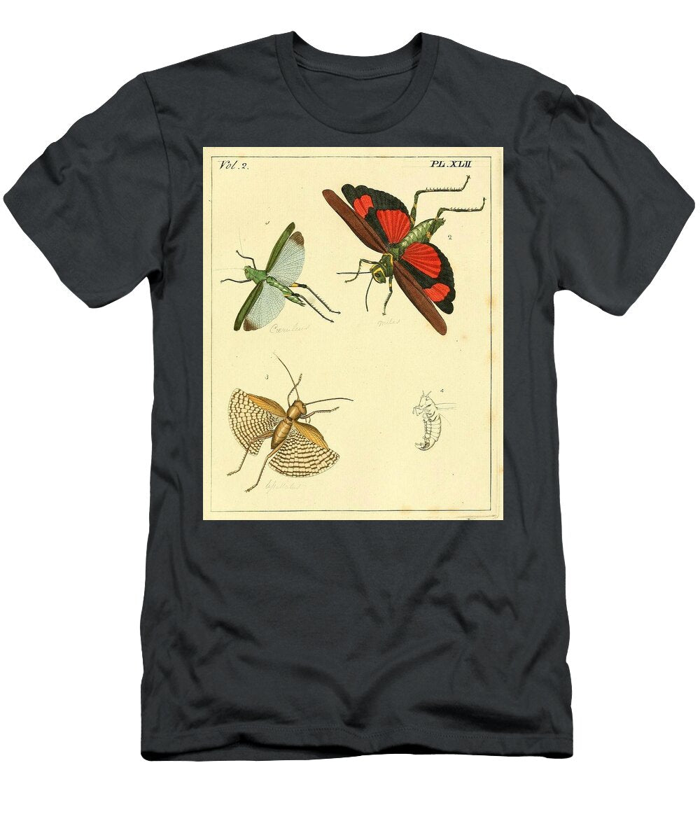 1 Gryllus Locust Beautiful Nature Prints T-Shirt