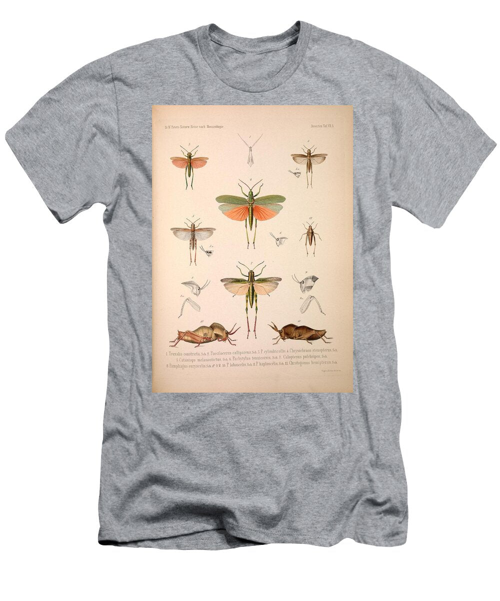 1 Insects Beautiful Nature Prints T-Shirt