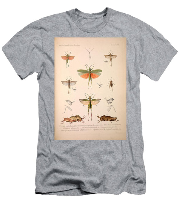 1 Insects Beautiful Nature Prints T-Shirt