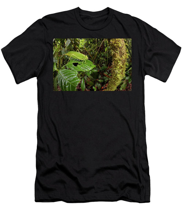 1 Katydid Bush Cricket Camouflaged Amongst Cloud Forest Alex Hyde Natureplcom T-Shirt