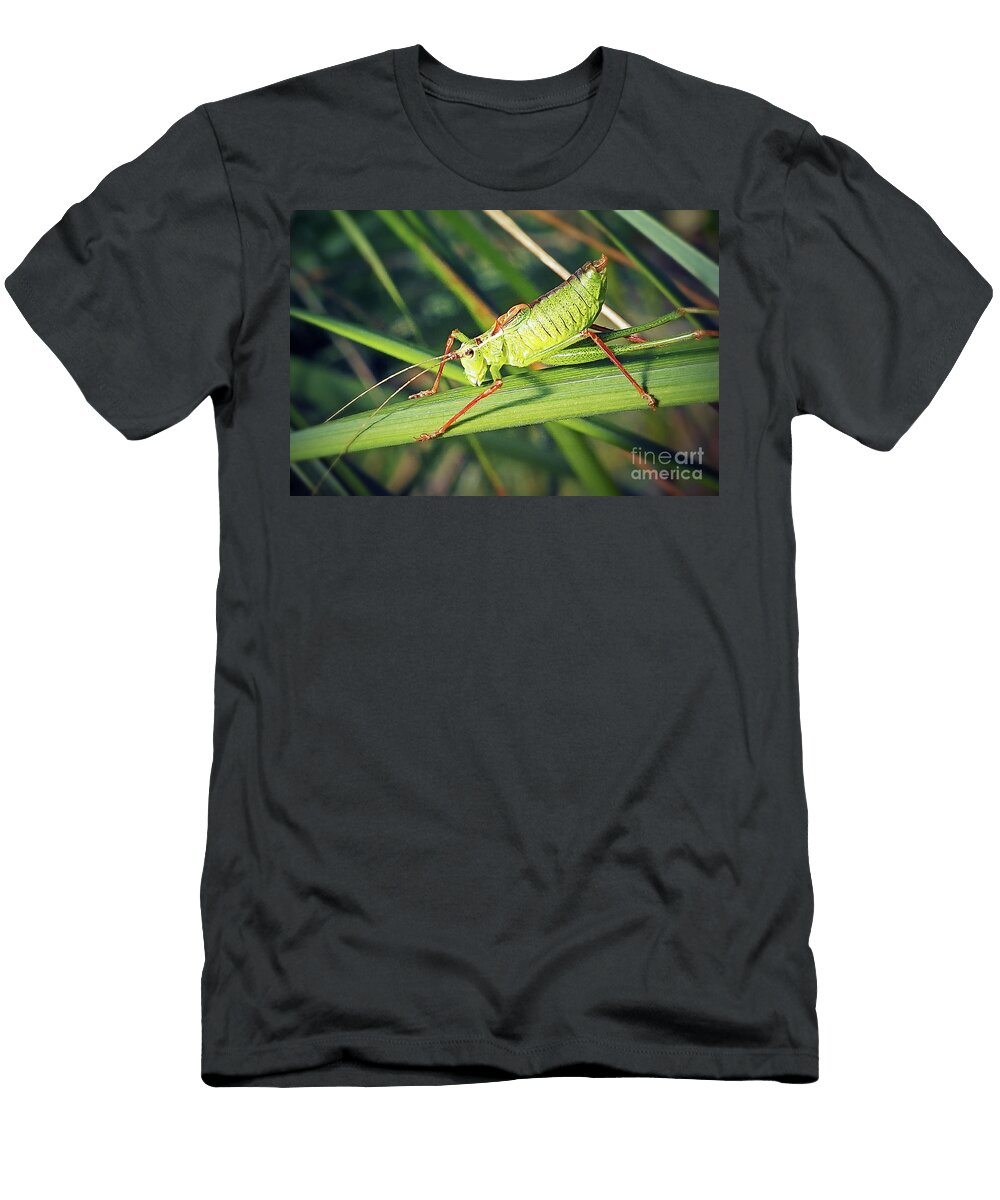 1 Leptophyes Punctatissima Speckled Bush Cricket Insect Frank Ramspott T-Shirt