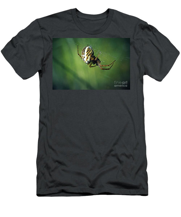1 Mangora Acalypha Cricket Bat Orbweaver Spider Frank Ramspott T-Shirt