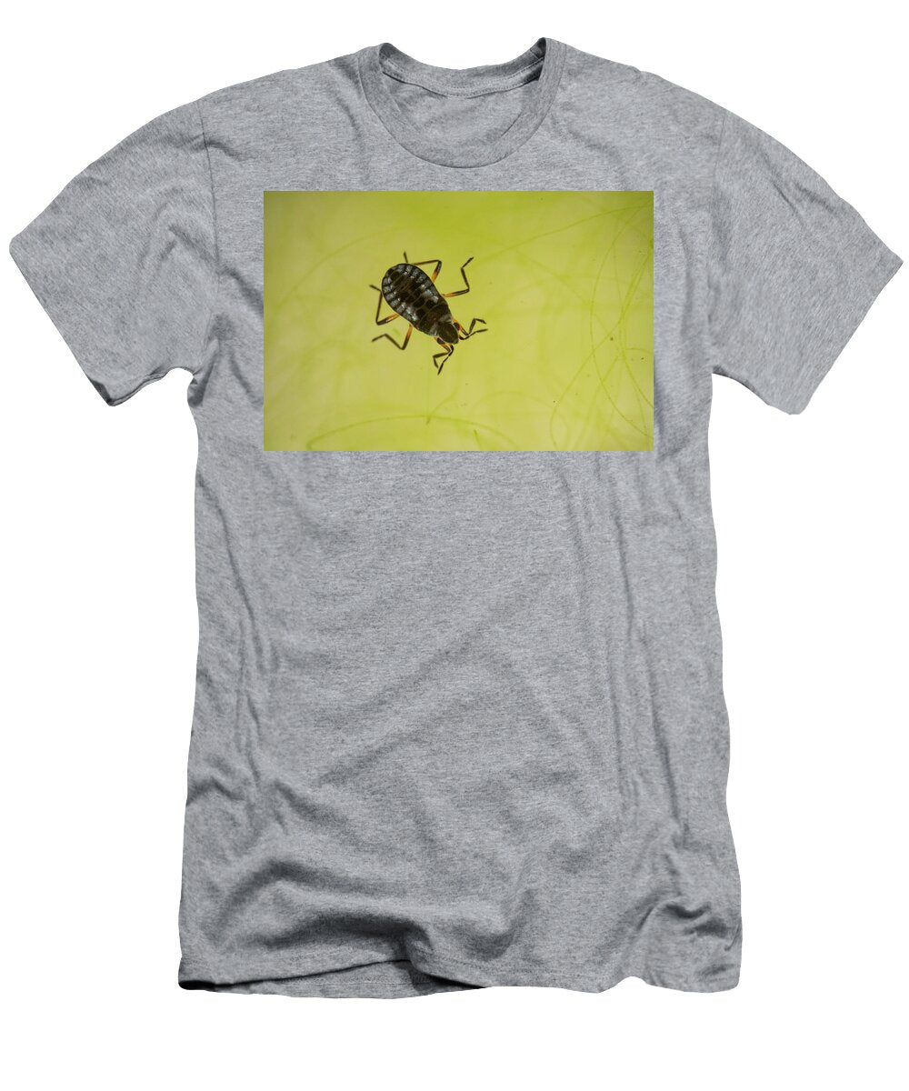 1 Minute Water Cricket Wingless Form on Water Lawn Pool Will Watson Natureplcom T-Shirt