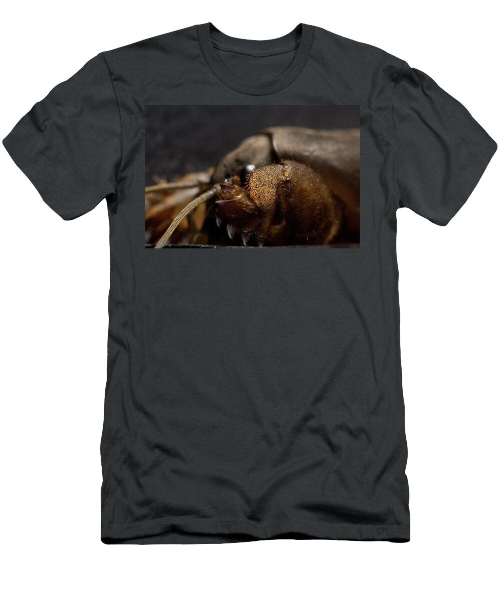 1 Mole Cricket Gryllotalpa Brachyptera Aaron Ansarov T-Shirt