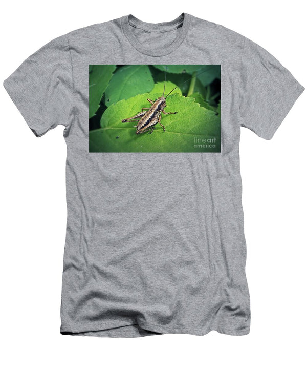 1 Pholidoptera Griseoaptera Dark Bush Cricket Insect Frank Ramspott T-Shirt