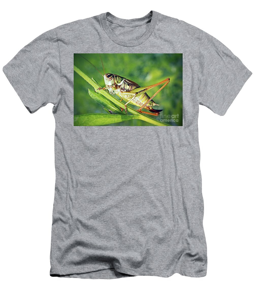 1 Roeseliana Roeselii Roesels Bush Cricket Insect Frank Ramspott T-Shirt
