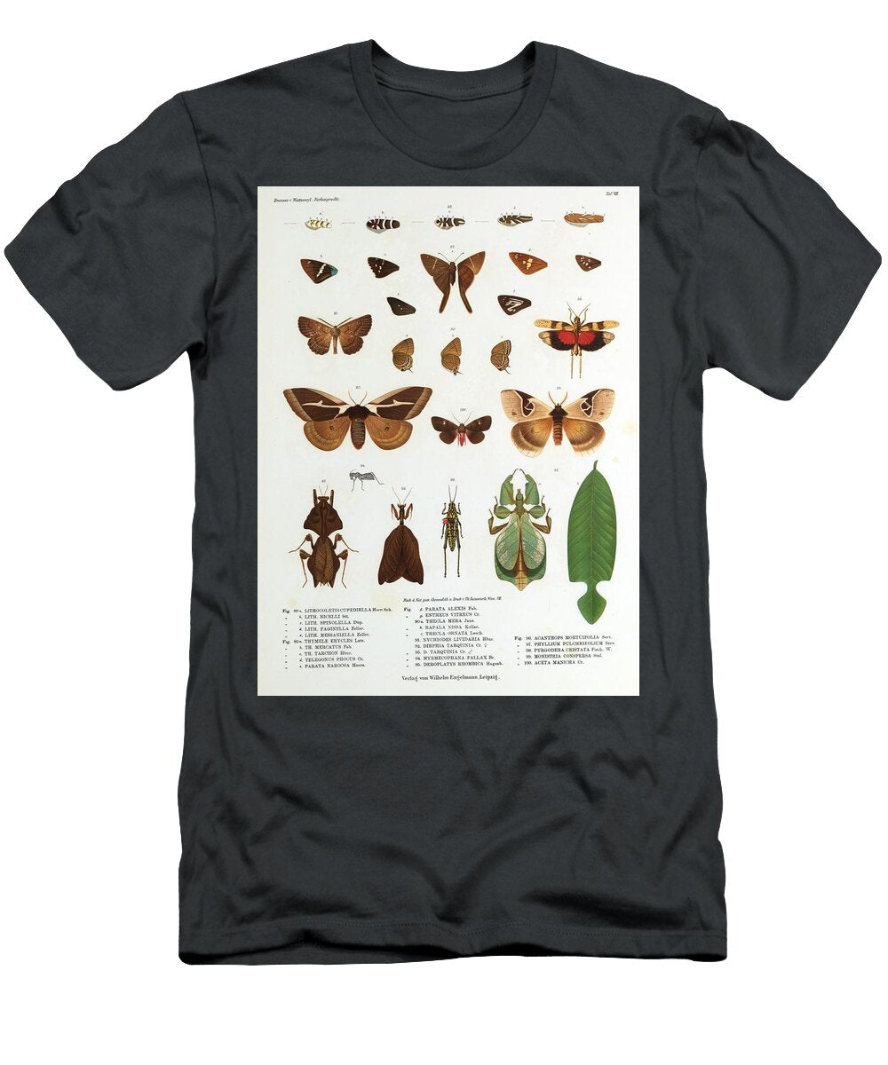 10 Insects Beautiful Nature Prints T-Shirt