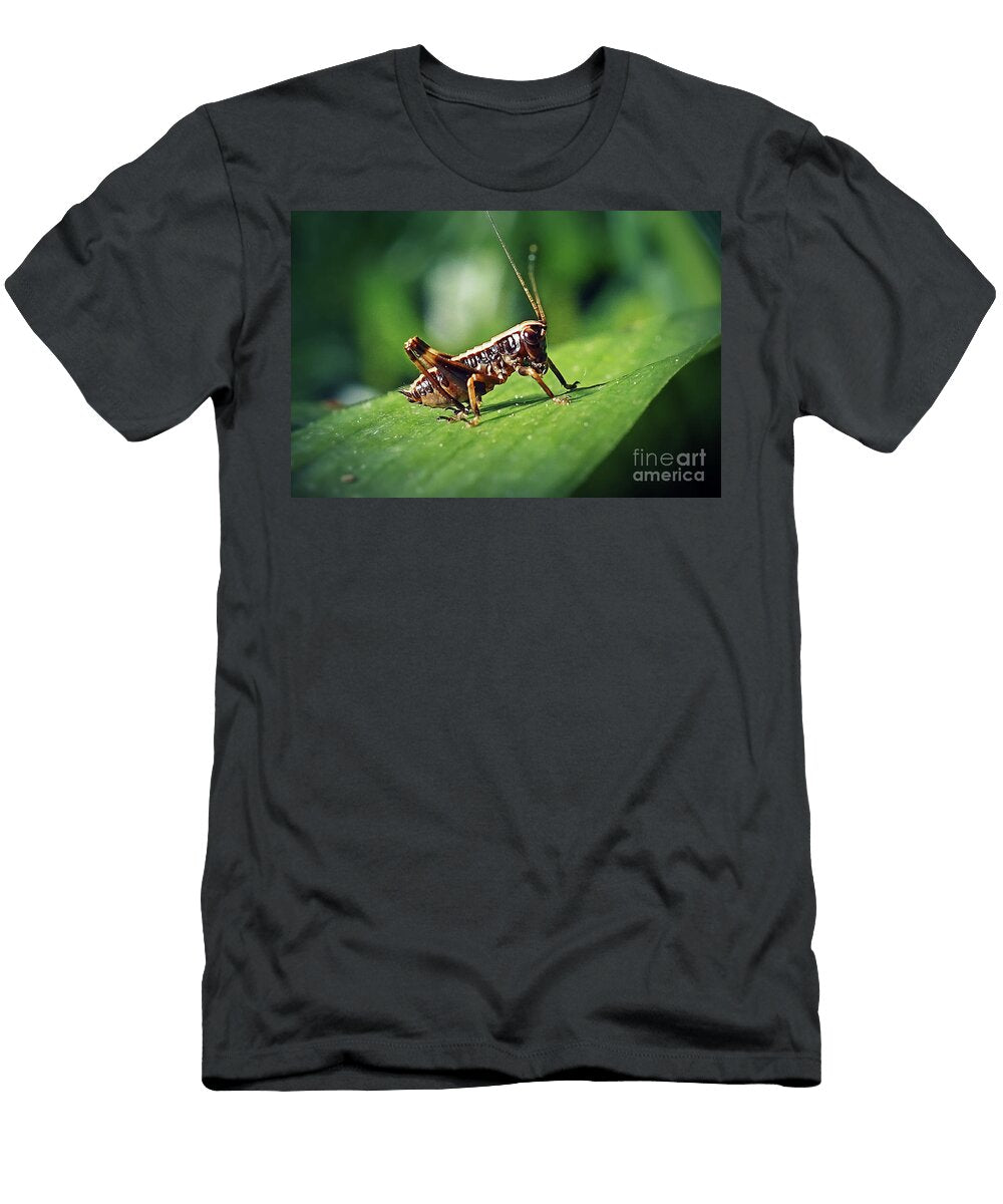 10 Pholidoptera Griseoaptera Dark Bush Cricket Nymph Insect Frank Ramspott T-Shirt