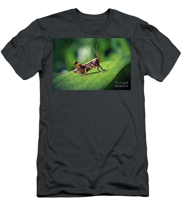 10 Pholidoptera Griseoaptera Dark Bush Cricket Nymph Insect Frank Ramspott T-Shirt