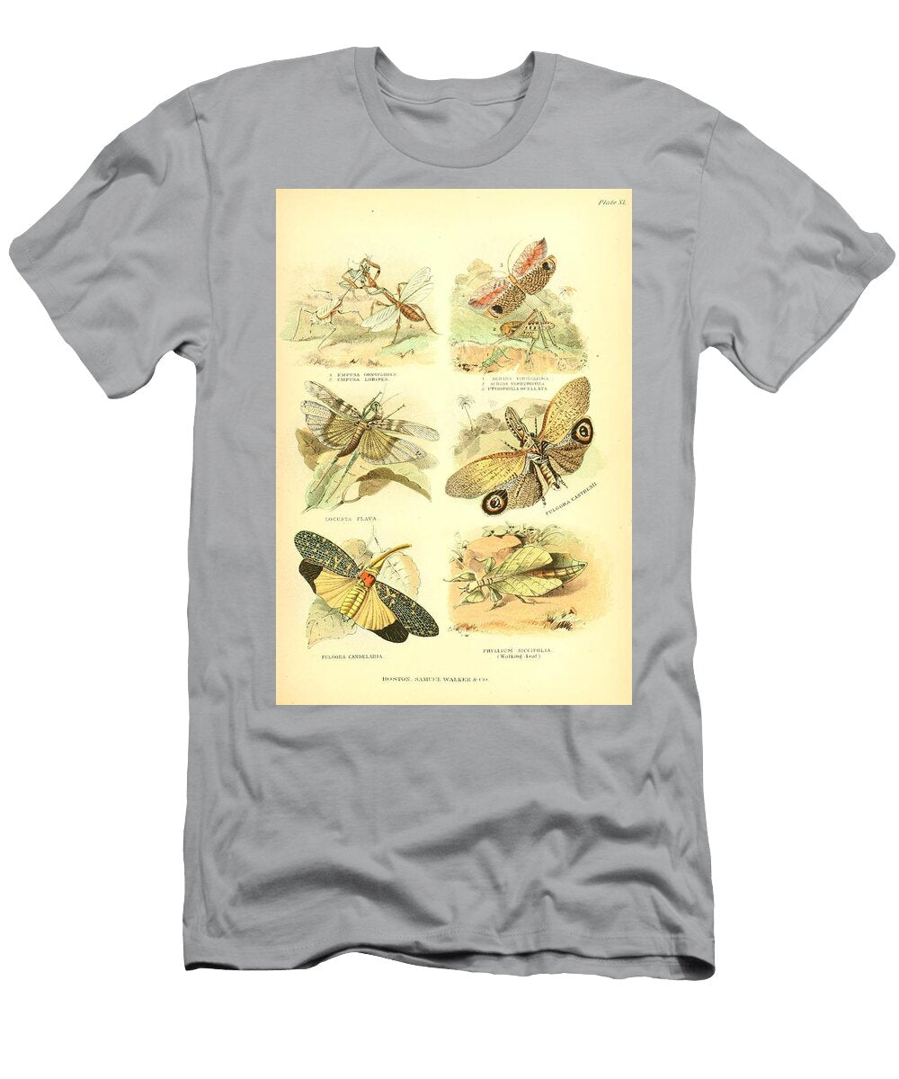 100 Insects Beautiful Nature Prints T-Shirt
