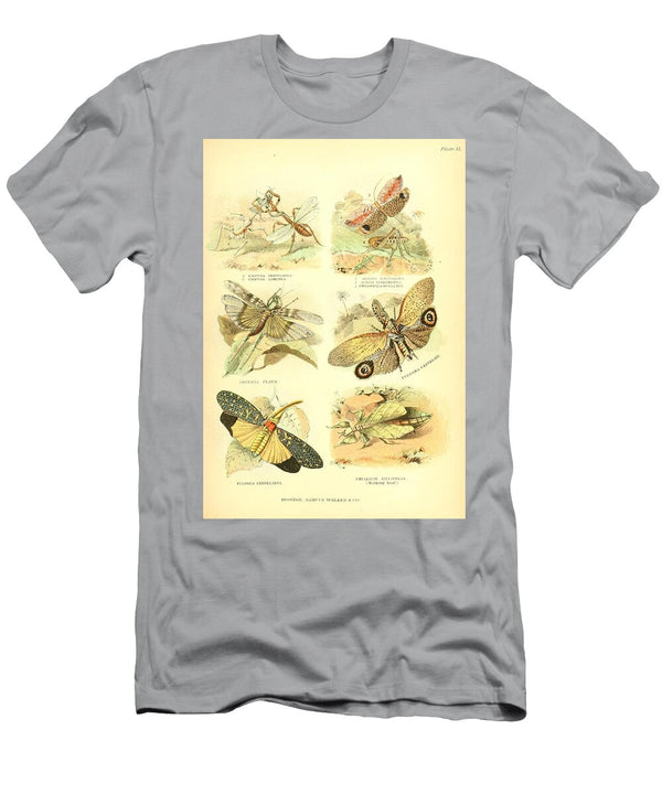 100 Insects Beautiful Nature Prints T-Shirt