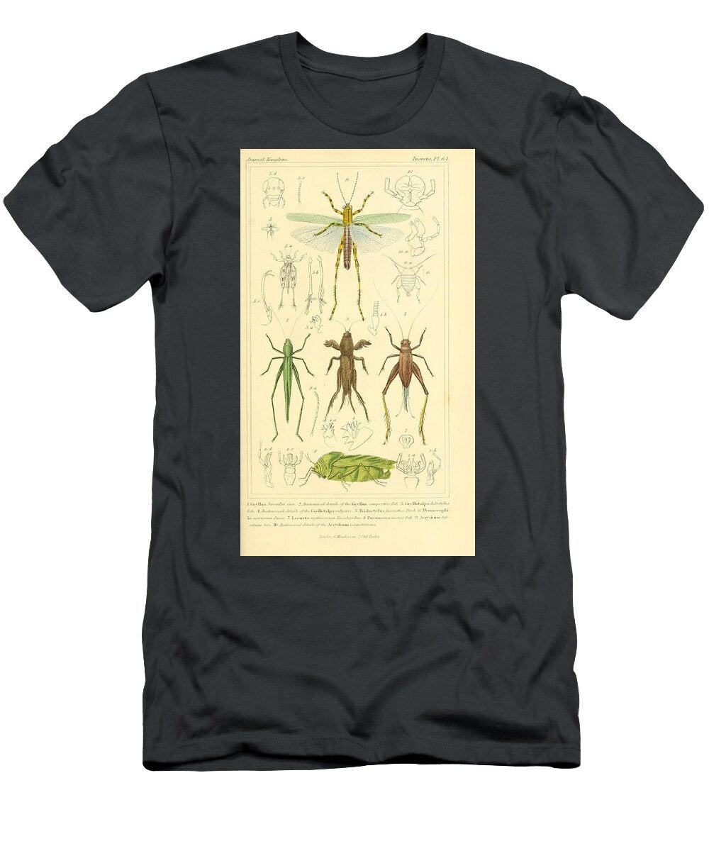 101 Insects Beautiful Nature Prints T-Shirt
