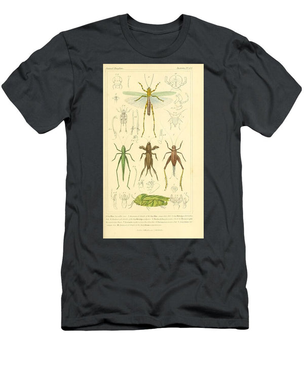 101 Insects Beautiful Nature Prints T-Shirt