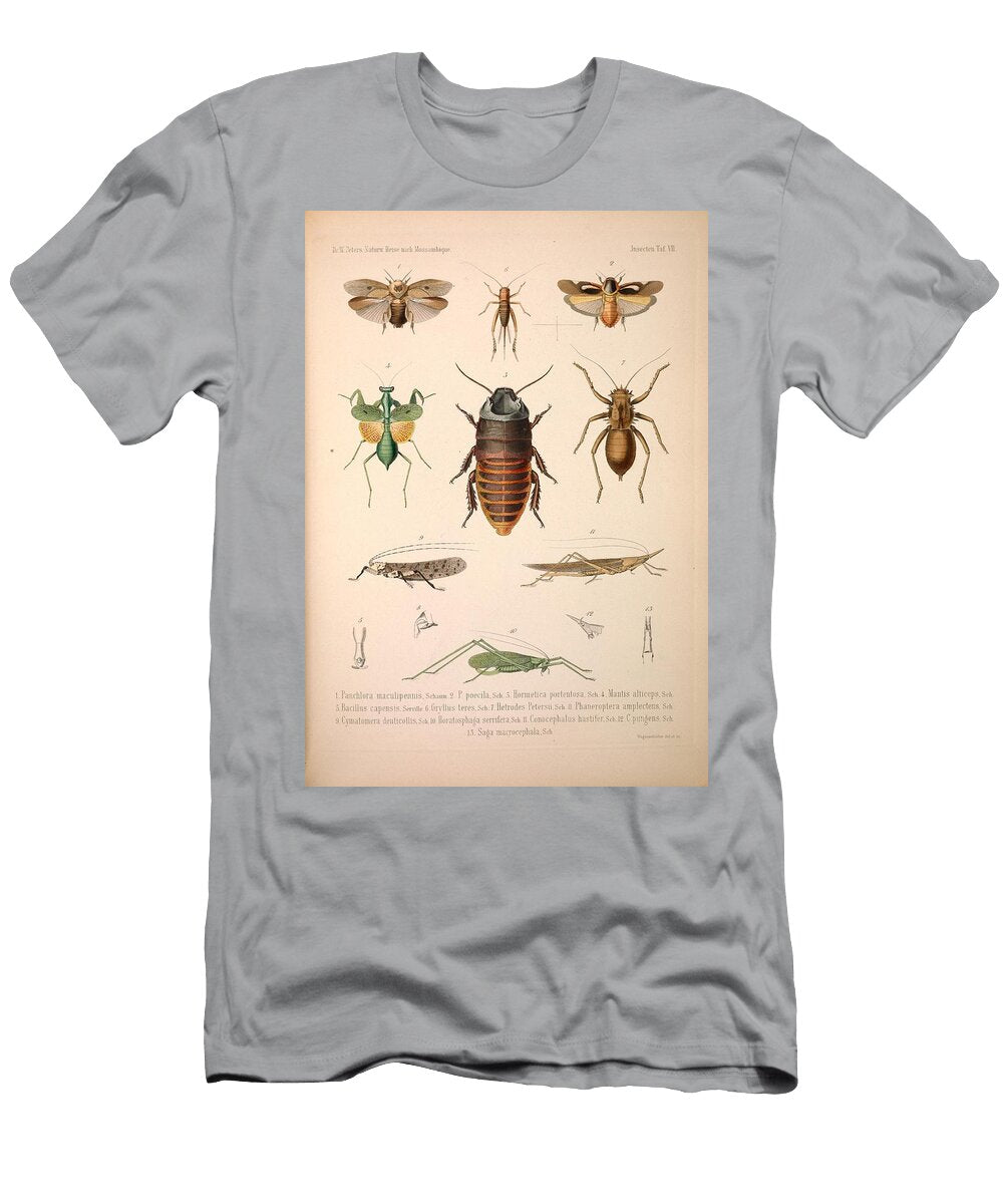 102 Insects Beautiful Nature Prints T-Shirt