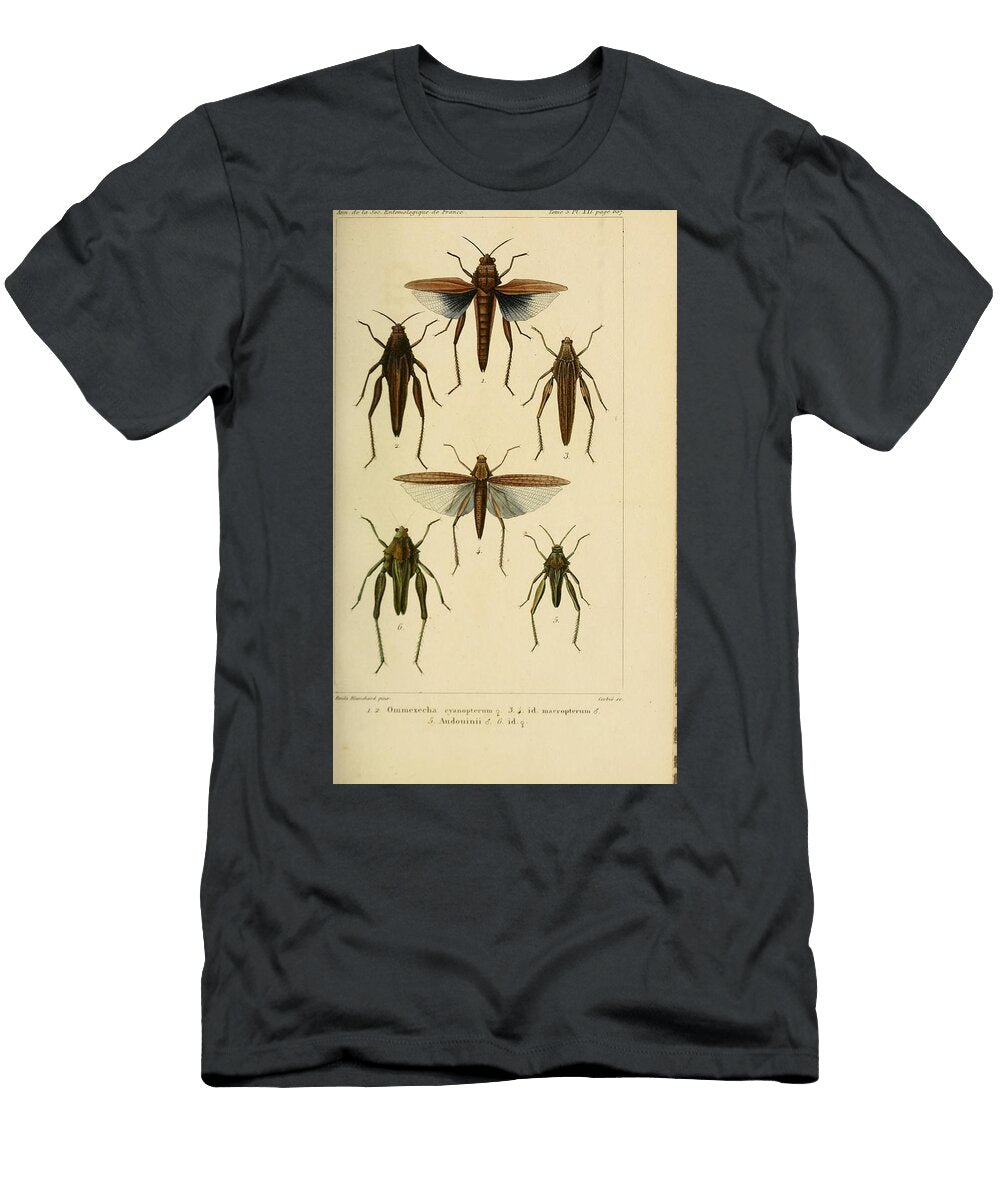 104 Insects Beautiful Nature Prints T-Shirt