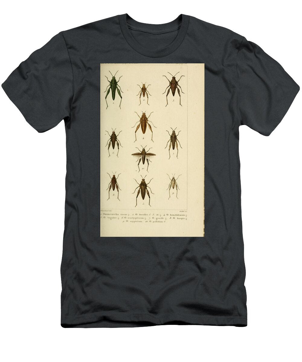 105 Insects Beautiful Nature Prints T-Shirt