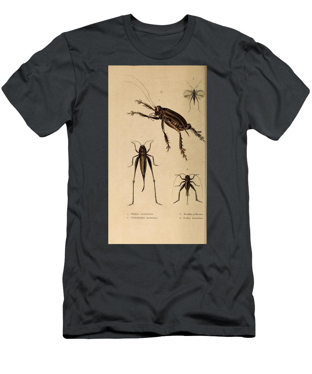 107 Insects Beautiful Nature Prints T-Shirt