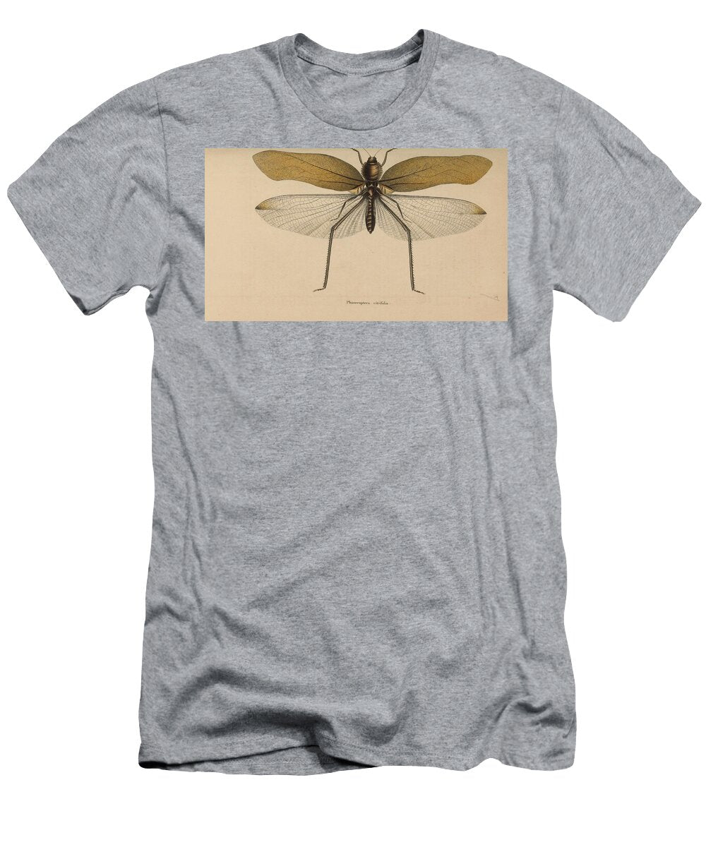 108 Insects Beautiful Nature Prints T-Shirt