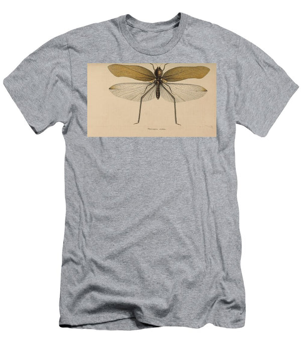 108 Insects Beautiful Nature Prints T-Shirt