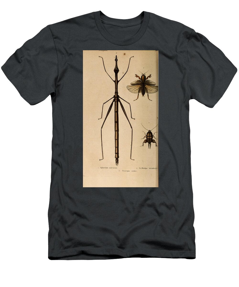 109 Insects Beautiful Nature Prints T-Shirt