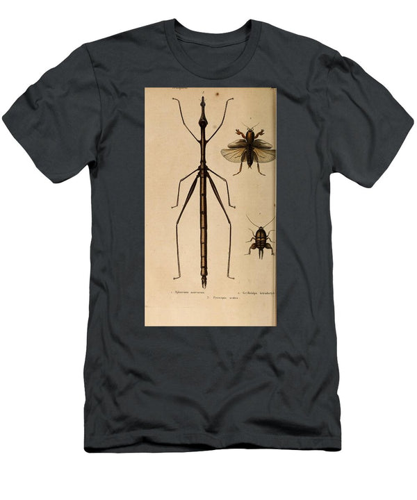 109 Insects Beautiful Nature Prints T-Shirt