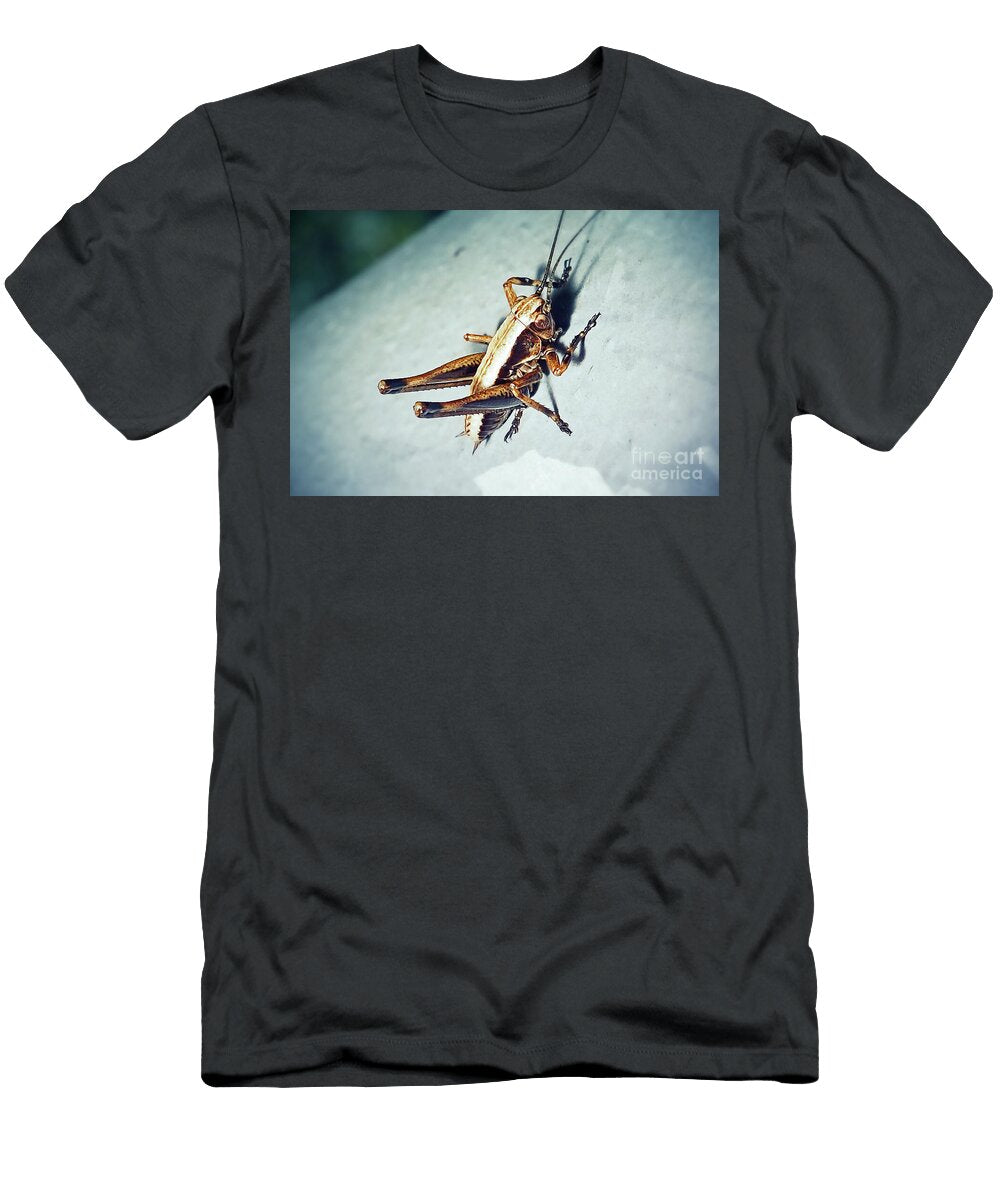 11 Pholidoptera Griseoaptera Dark Bush Cricket Nymph Insect Frank Ramspott T-Shirt