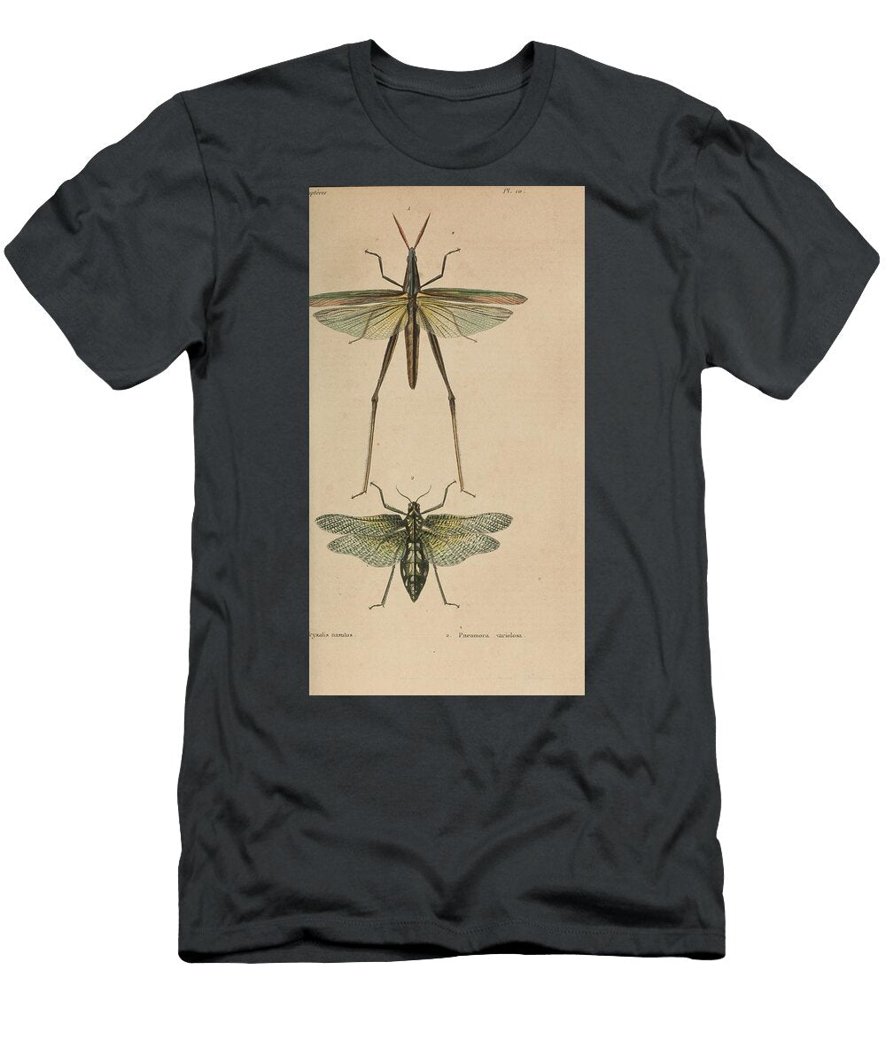 110 Insects Beautiful Nature Prints T-Shirt