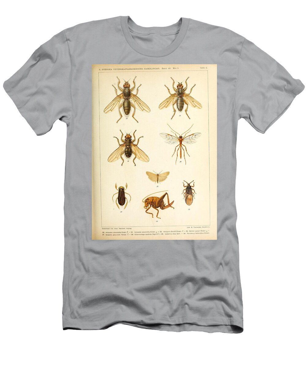 111 Insects Beautiful Nature Prints T-Shirt