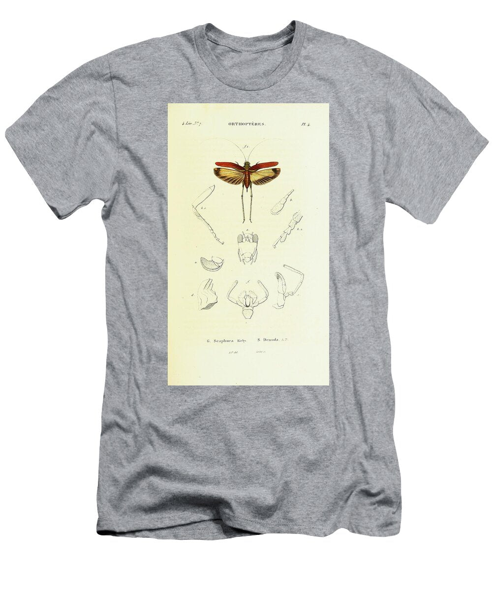 112 Insects Beautiful Nature Prints T-Shirt
