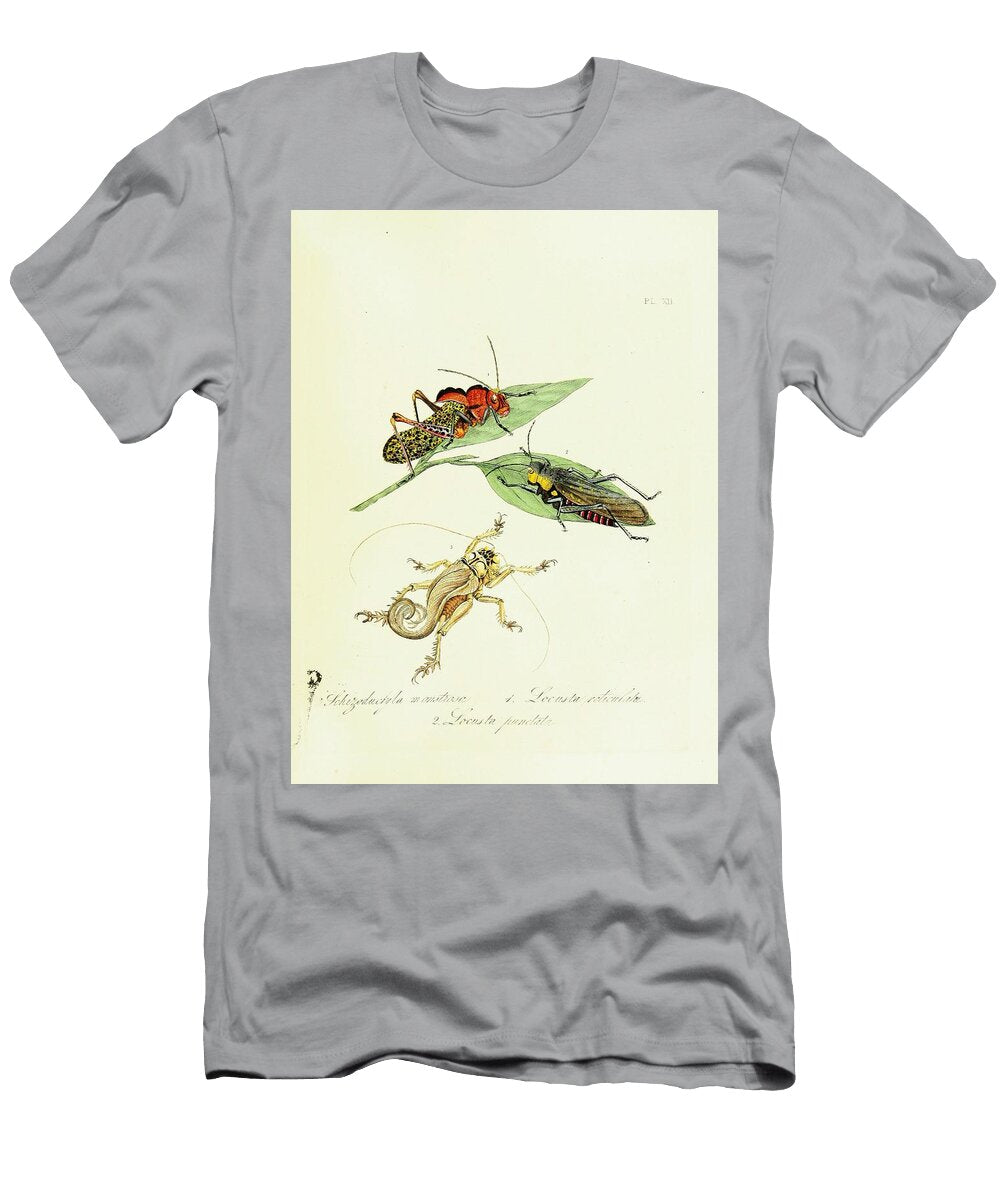 113 Insects Beautiful Nature Prints T-Shirt