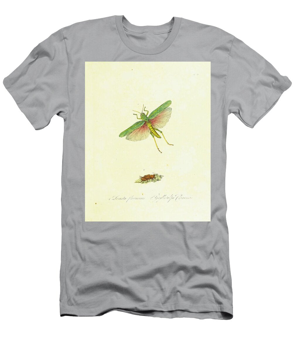 114 Insects Beautiful Nature Prints T-Shirt