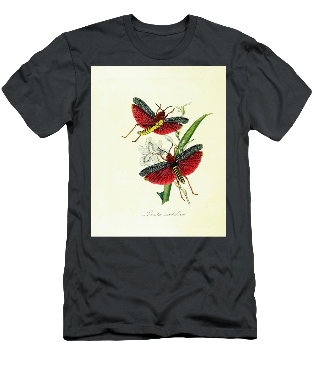 115 Insects Beautiful Nature Prints T-Shirt