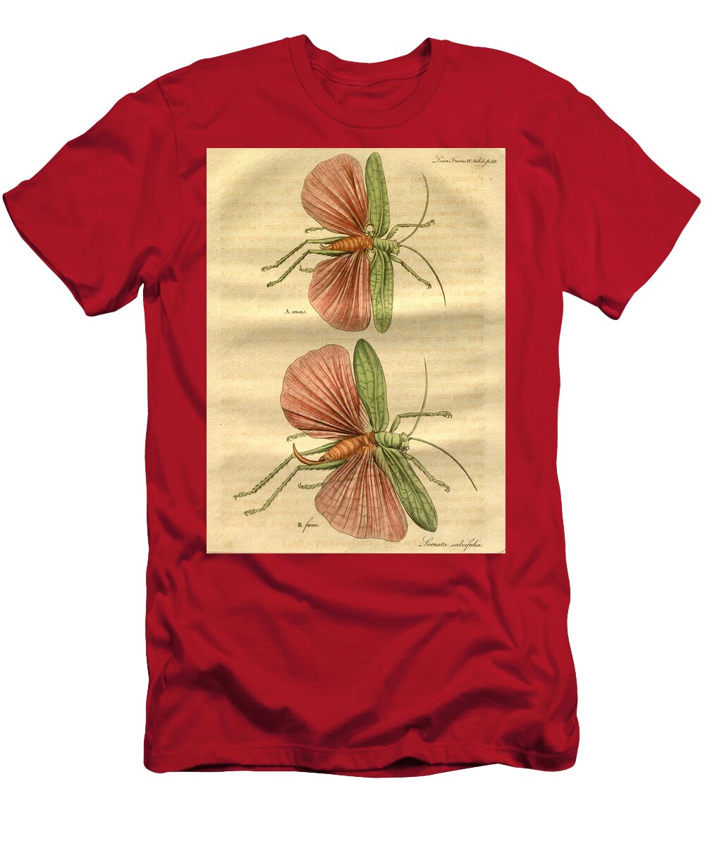 116 Insects Beautiful Nature Prints T-Shirt