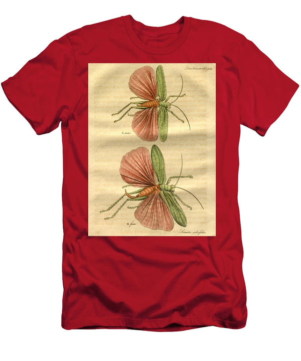 116 Insects Beautiful Nature Prints T-Shirt