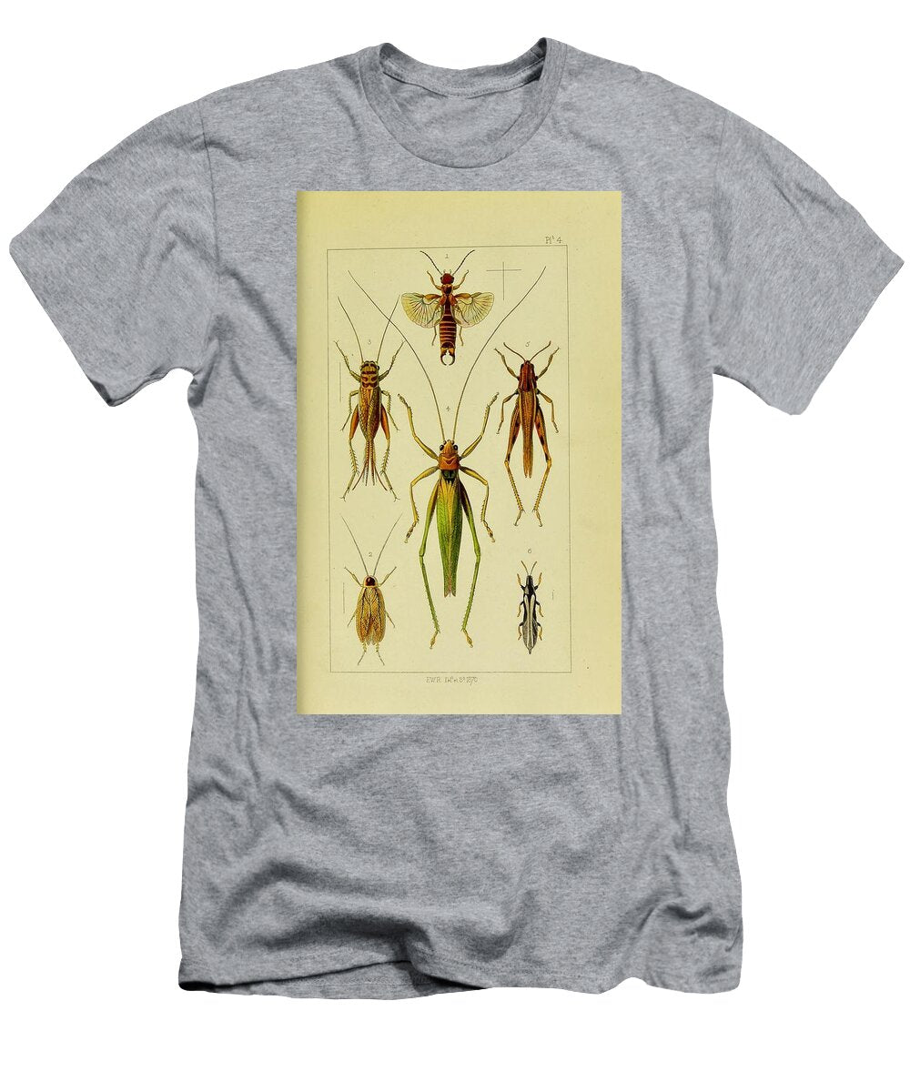 117 Insects Beautiful Nature Prints T-Shirt