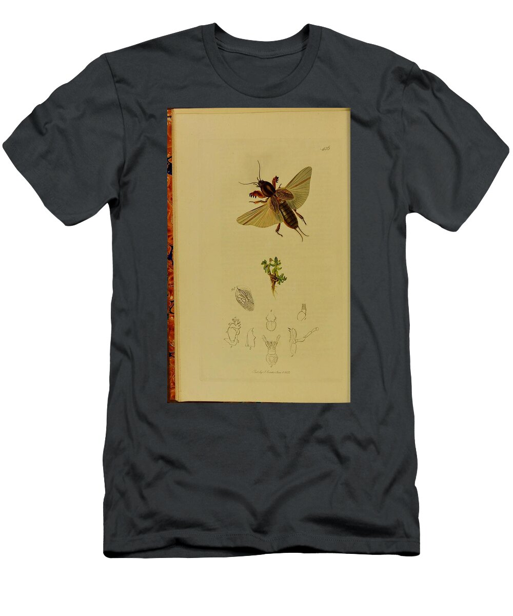 118 Insects Beautiful Nature Prints T-Shirt