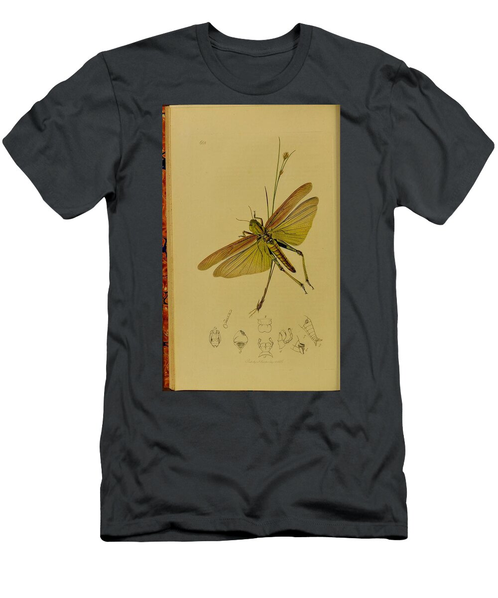 119 Insects Beautiful Nature Prints T-Shirt