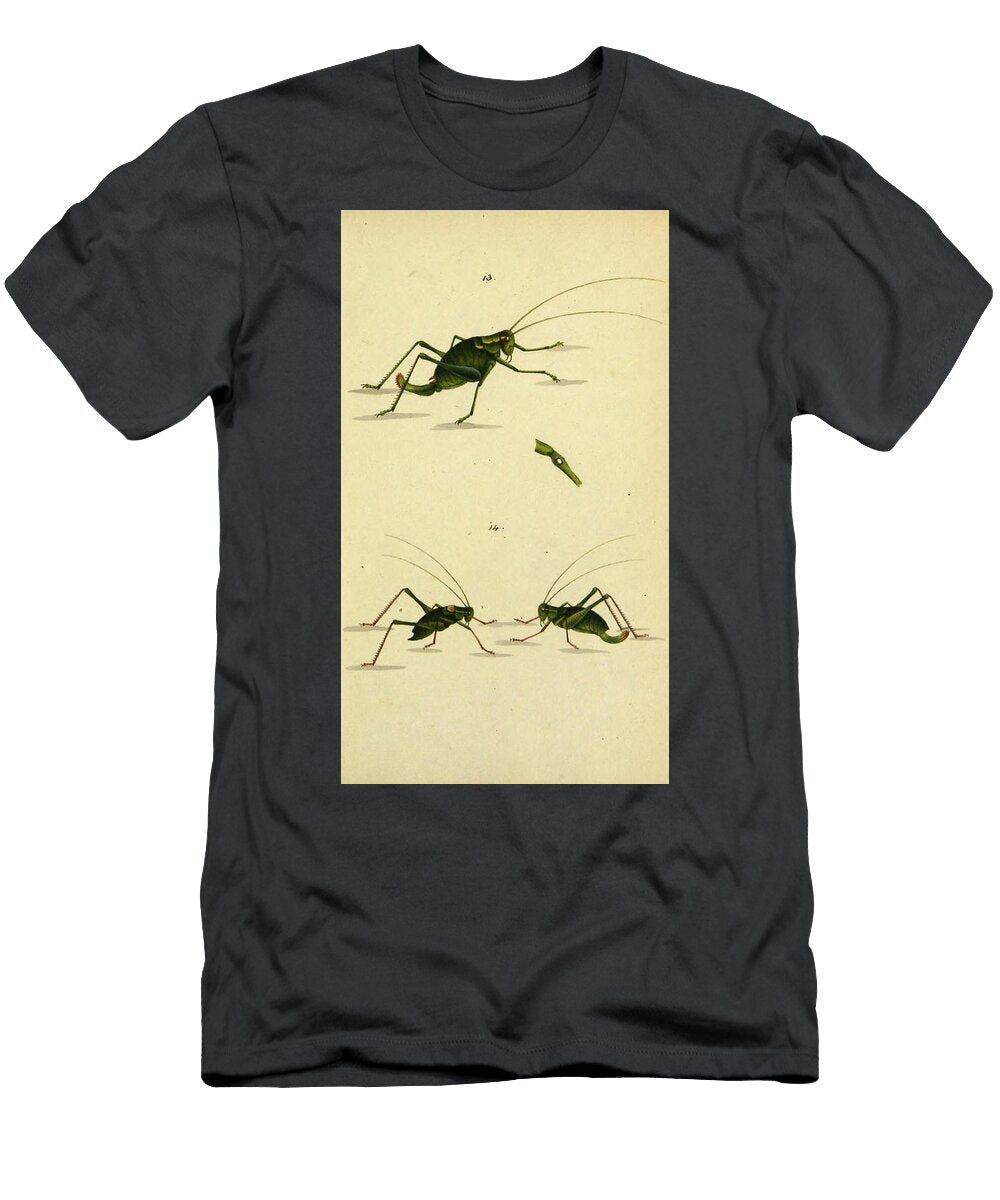 12 Insects Beautiful Nature Prints T-Shirt