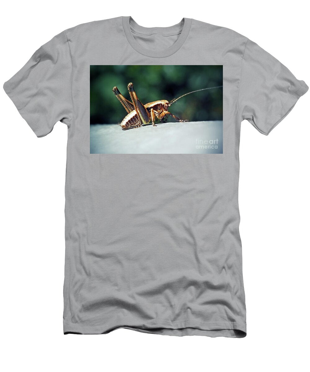 12 Pholidoptera Griseoaptera Dark Bush Cricket Nymph Insect Frank Ramspott T-Shirt
