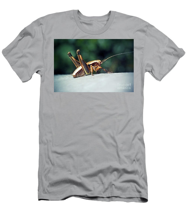 12 Pholidoptera Griseoaptera Dark Bush Cricket Nymph Insect Frank Ramspott T-Shirt