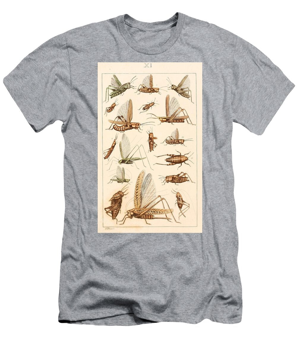 120 Insects Beautiful Nature Prints T-Shirt