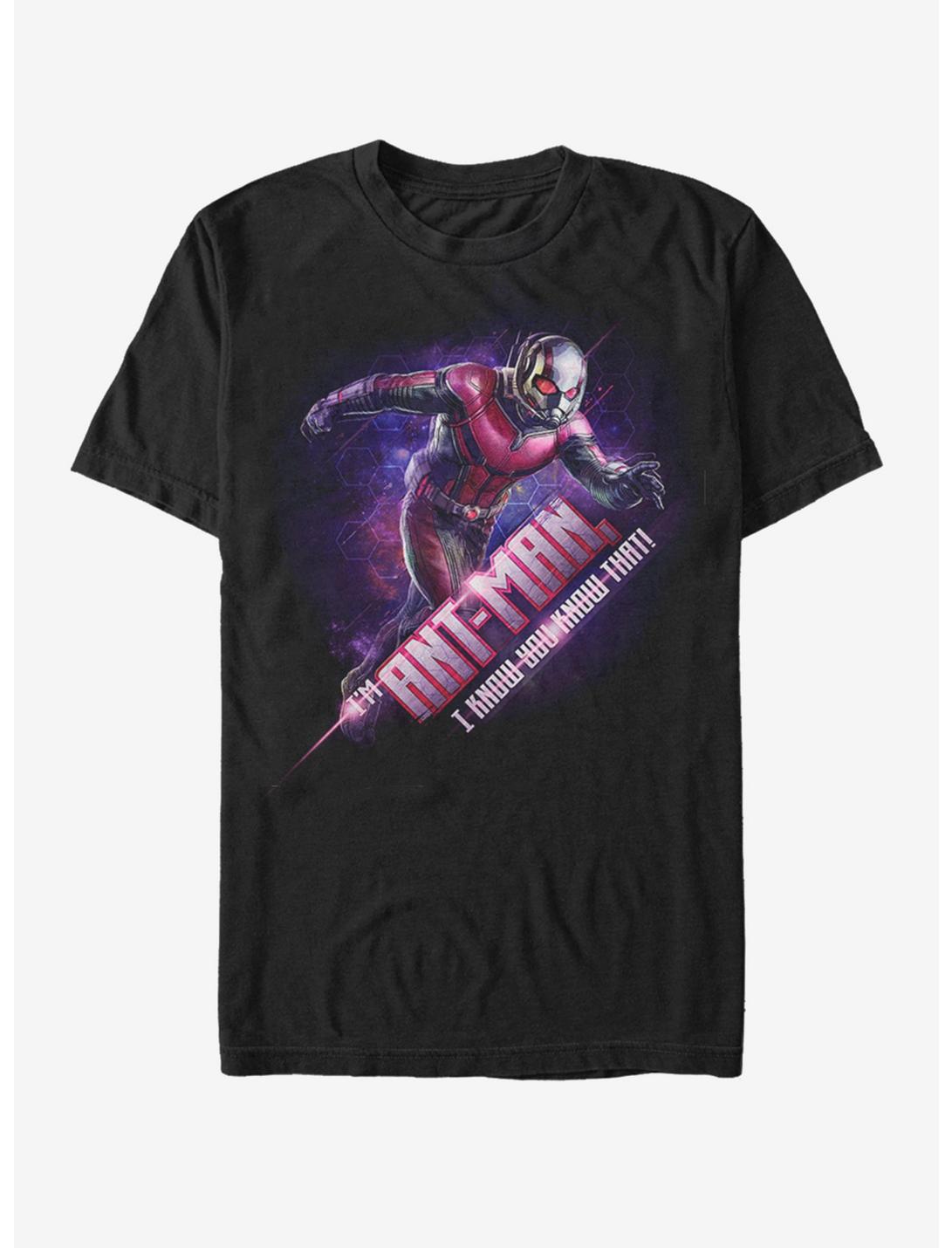 Marvel Avengers: Endgame Ant-Man Hex T-Shirt