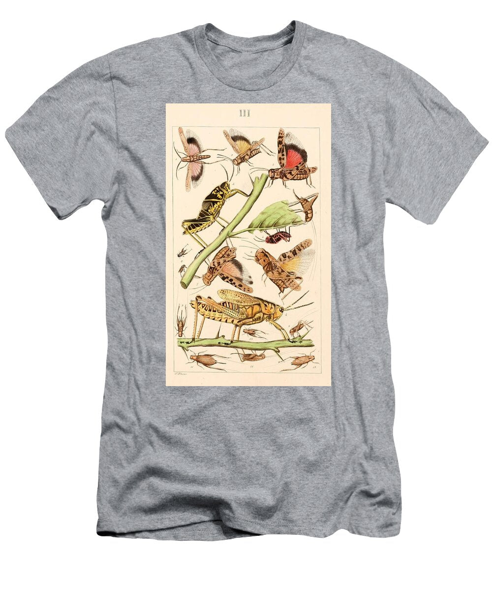 121 Insects Beautiful Nature Prints T-Shirt