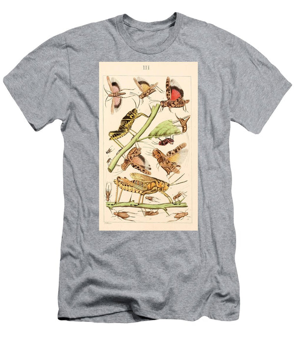 121 Insects Beautiful Nature Prints T-Shirt