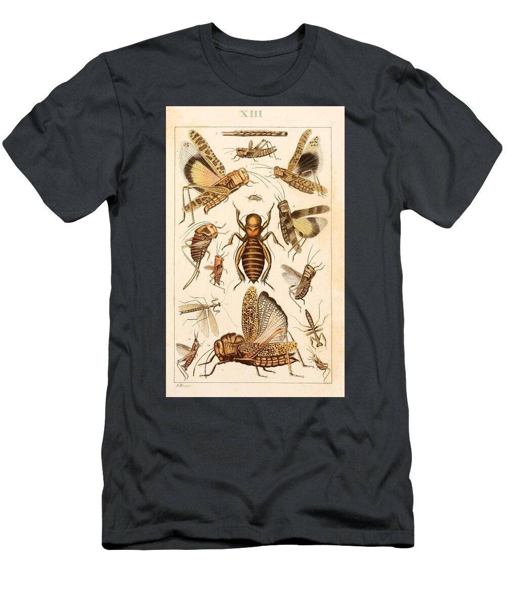 124 Insects Beautiful Nature Prints T-Shirt