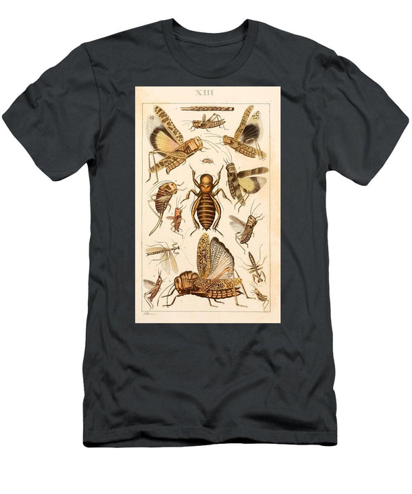 124 Insects Beautiful Nature Prints T-Shirt
